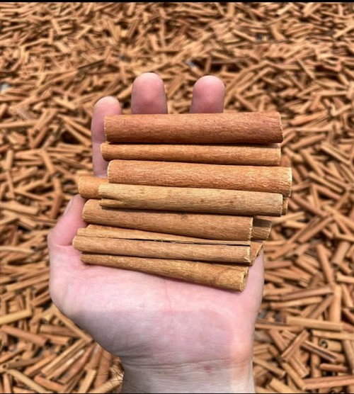 Bricks